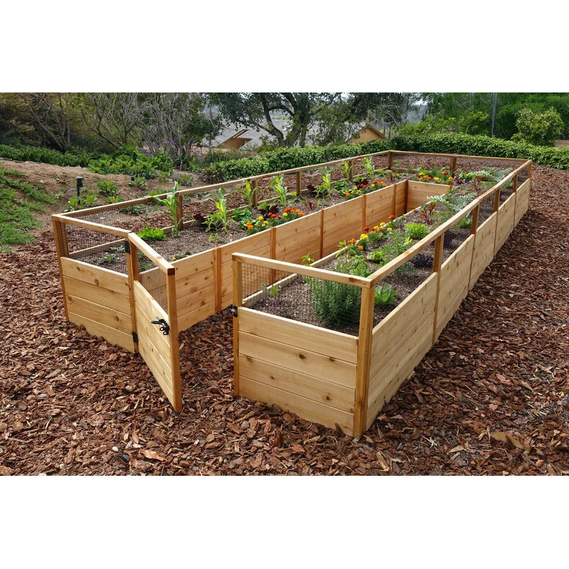 8 ft. W x 16 ft. D Cedar Garden in a Box
